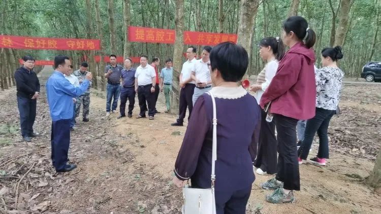 全國割膠冠軍張健給各單位學(xué)員做標(biāo)準(zhǔn)化膠園建設(shè)及割膠技術(shù)的經(jīng)驗(yàn)介紹。.jpg